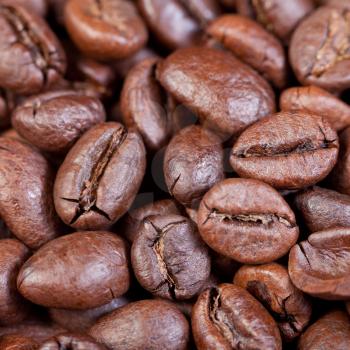background from brown roasted coffee beans close up