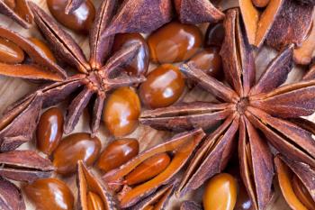 macro view of illicium star seeds on wooden table