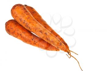 few fresh orange carrots isolated on white background