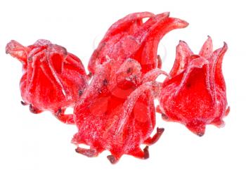 candied Hibiscus Flowers isolated on white background