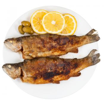 top view of fried river trout fish on plate isolated on white background
