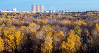 Moscow panoramic view urban houses, autumn trees and blue afternoon sky