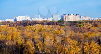 panoramic view urban houses, autumn trees and blue afternoon sky