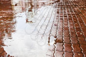 rain puddle on paving stone urban square