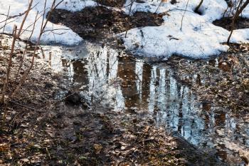 stream from melting snow in forest in early spring