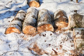 stack of firewoods in spring melting snow