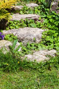 old stone steps overgrown in grass in green garden in summer day