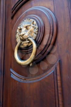 brass lion head shaped door doorknob in expensive urban door