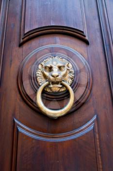 lion head shaped door handle in expensive urban door