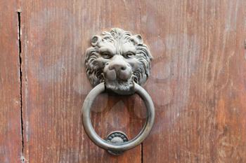 lion head shaped old bronze door handle with ring in urban door