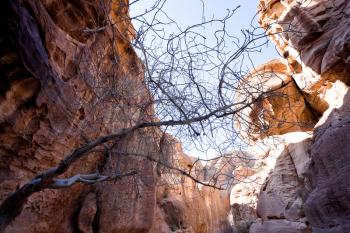 sand rock cliffs above gorge Siq in Petra, Jordan