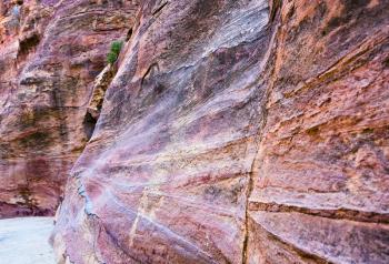 multicoloured sandstone walls of gorge Siq in Petra, Jordan