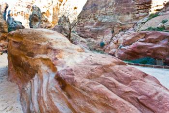 eroded sandstone rocks in gorge Siq in Petra, Jordan 