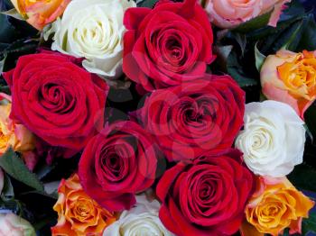 bouquet of different many colored roses close up