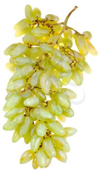 bunch of white grapes isolated on white background