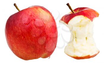 bitten apple and whole wealthy apple isolated on white background