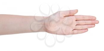 open straight five fingers hand gesture isolated on white background