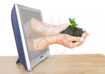 farmer hands holding handful of soil with sprouts leads out TV screen isolated on white background