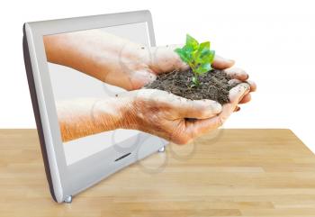 farmer hands holding handful of soil with plant leads out TV screen isolated on white background