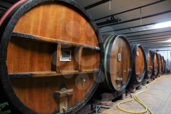 Oak wine barrels in a wine cellar, Alsace, France