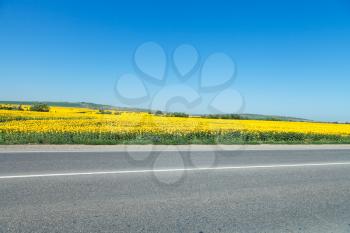 road and sunflower fields in the foothills of the Caucasus