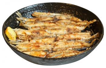 fried fish capelin on black frying pan isolated on white background