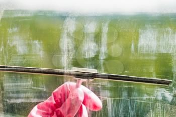 hand in pink glove cleans home window glass by squeegee in spring day