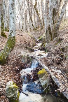 stream in mountain woods in spring in caucasus mountain