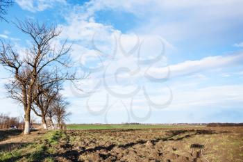 country landscape with ploughed fields in early spring day