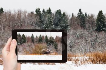 travel concept - tourist takes picture of low wooden house on edge of snowed forest in cold winter day on smartphone,