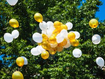 bunch of yellow and white balloons floating in air
