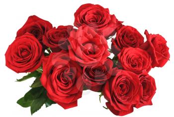 above view of bouquet of red roses isolated on white background