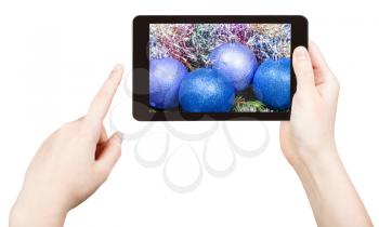 take photo of blue Christmas decorations with tablet pc isolated on white background