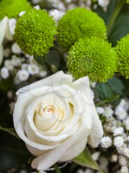 fresh white rose in bunch of flowers close up