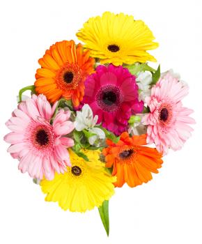 above view of posy with gerbera flowers isolated on white background