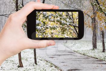 season concept - man taking picture of first snow on trees in urban park on smartphone
