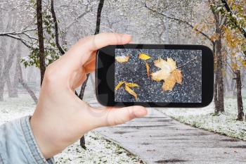 season concept - man taking picture of fallen leaves in first snow in urban park on smartphone