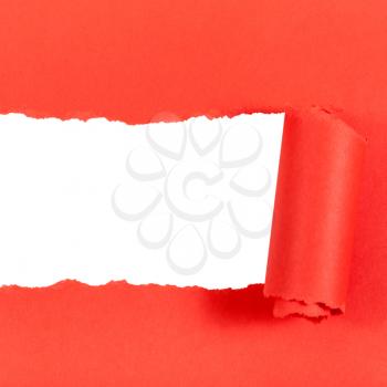 red rolled-up torn paper on white isolated square background