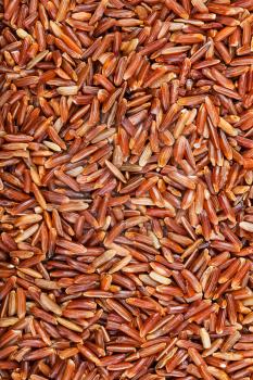 food background - uncooked long-grain Red Kernel rice