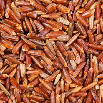 square food background - uncooked long grain Red Kernel rice close up