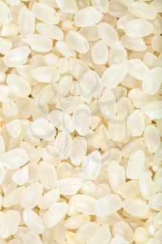 food background - short-grain uncooked white Italica rice close up