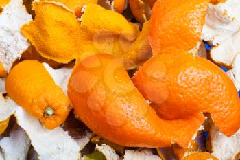 dried peels of oranges and mandarins close up