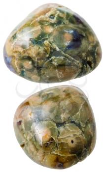 natural mineral gem stone - two Green Rhyolite (Rainforest Jasper) gemstones isolated on white background close up
