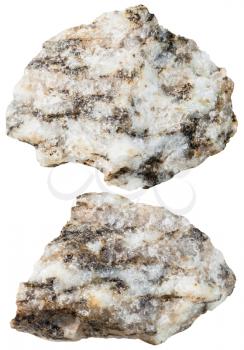macro shooting of specimen natural rock - two pieces of Gneiss mineral stone isolated on white background