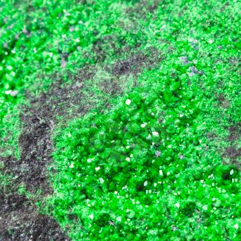 natural background - green uvarovite crystals on rock close up