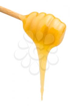 yellow honey flows down from wooden spoon close up isolated on white background