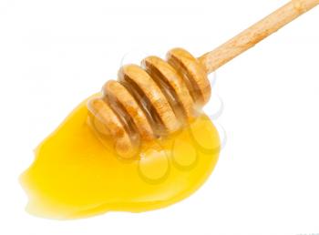 puddle of yellow honey and wooden stick close up isolated on white background