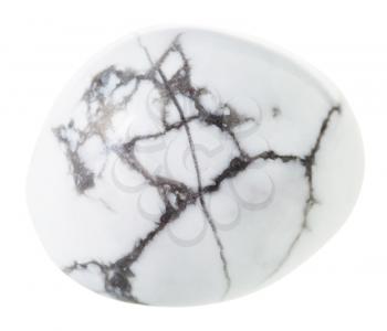 macro shooting of natural gemstone - polished Howlite mineral gem stone isolated on white background