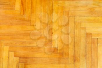 background from lacquered oak wood parquet