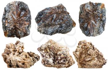 set of crystalline Fibrous aggregates of astrophyllite and lamprophyllite natural mineral stones isolated on white background